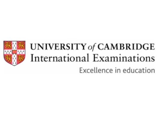 Understanding Cambridge Learners
