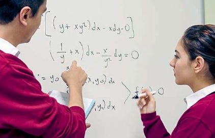 In Focus: Maths for Every Learner